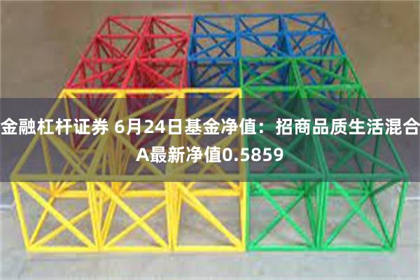 金融杠杆证券 6月24日基金净值：招商品质生活混合A最新净值0.5859