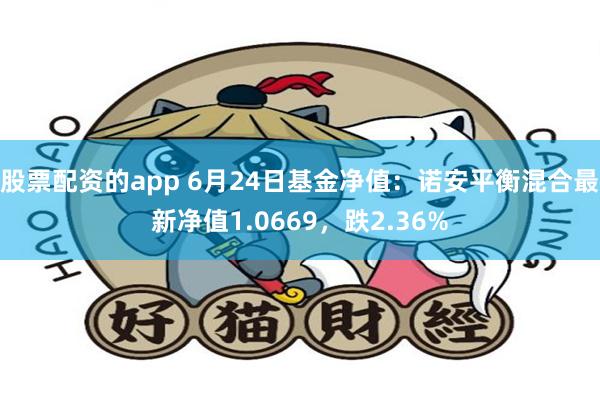 股票配资的app 6月24日基金净值：诺安平衡混合最新净值1.0669，跌2.36%