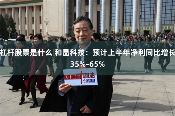 杠杆股票是什么 和晶科技：预计上半年净利同比增长35%-65%