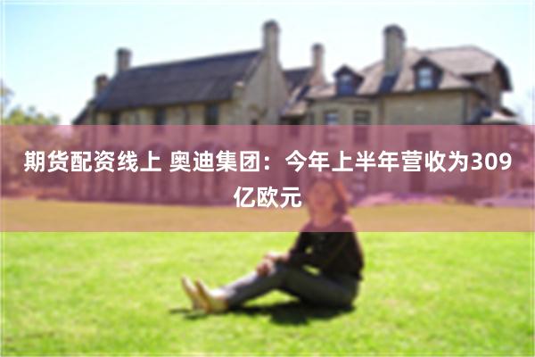 期货配资线上 奥迪集团：今年上半年营收为309亿欧元