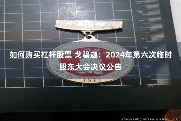 如何购买杠杆股票 戈碧迦：2024年第六次临时股东大会决议公告