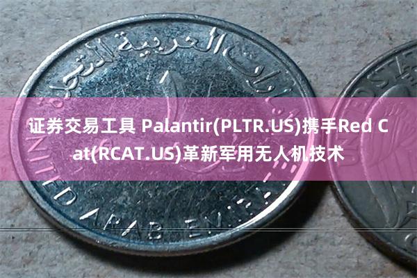 证券交易工具 Palantir(PLTR.US)携手Red Cat(RCAT.US)革新军用无人机技术