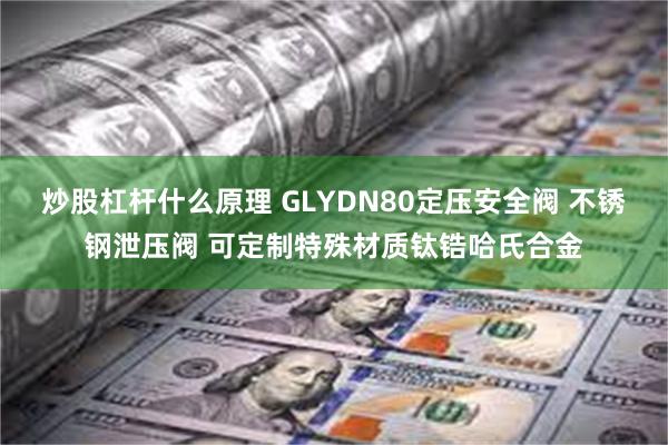 炒股杠杆什么原理 GLYDN80定压安全阀 不锈钢泄压阀 可定制特殊材质钛锆哈氏合金