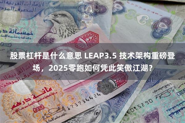 股票杠杆是什么意思 LEAP3.5 技术架构重磅登场，2025零跑如何凭此笑傲江湖？