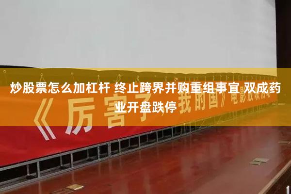 炒股票怎么加杠杆 终止跨界并购重组事宜 双成药业开盘跌停